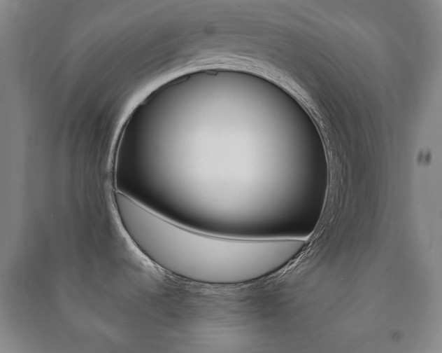 X0000091491536200708161200