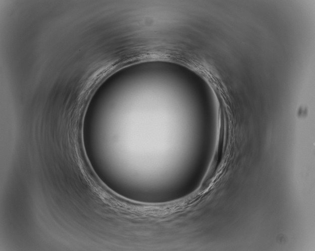 X0000091490001200708161448