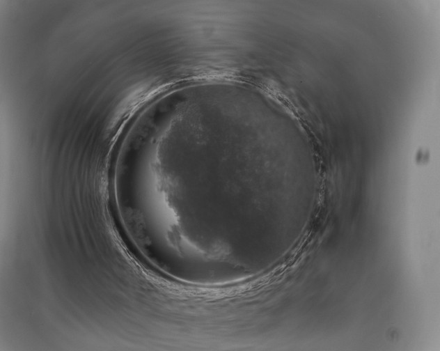 X0000091490002200708161448