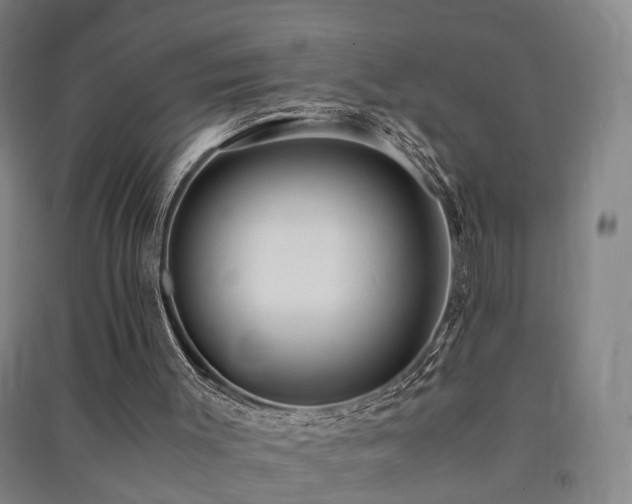 X0000091490003200708161448