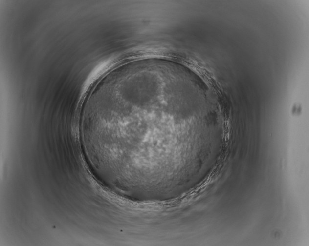 X0000091490004200708161448