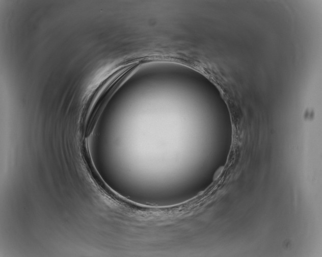 X0000091490005200708161448