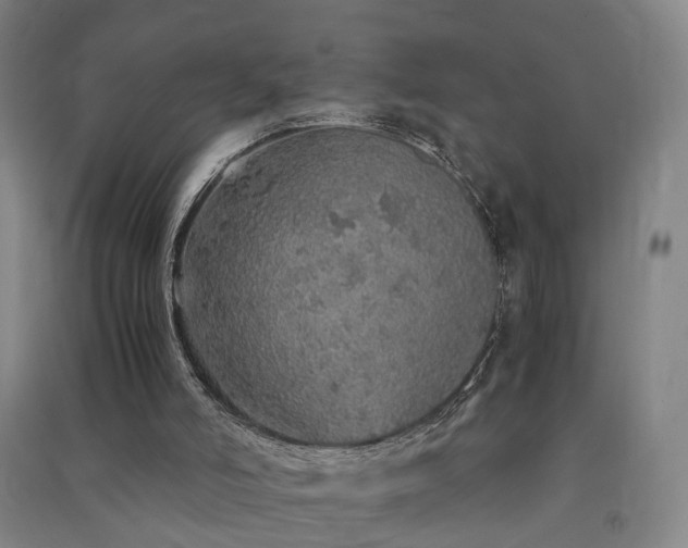 X0000091490006200708161448