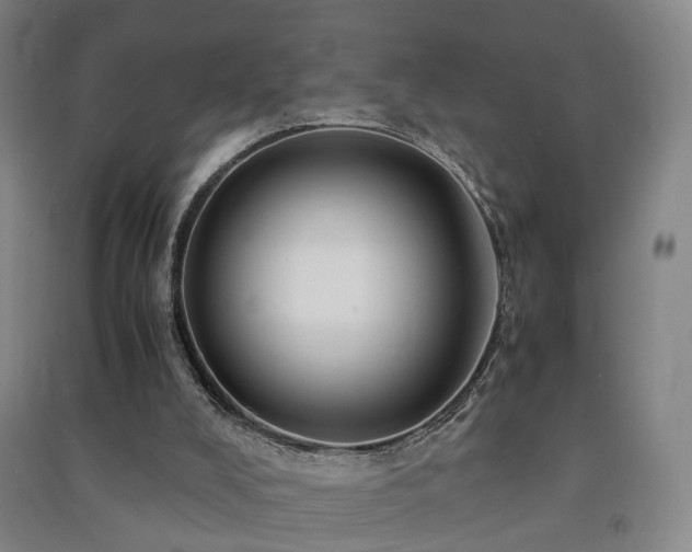 X0000091490008200708161448