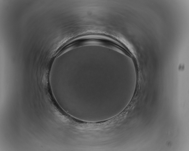 X0000091490009200708161448