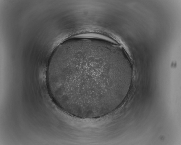 X0000091490010200708161448
