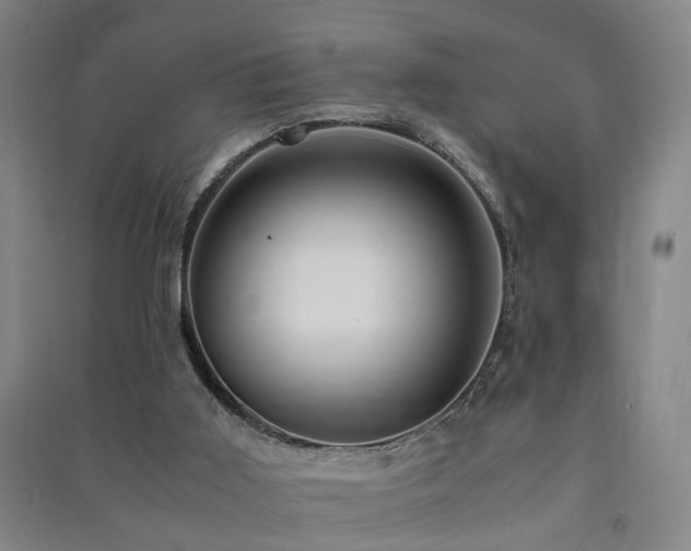 X0000091490011200708161447