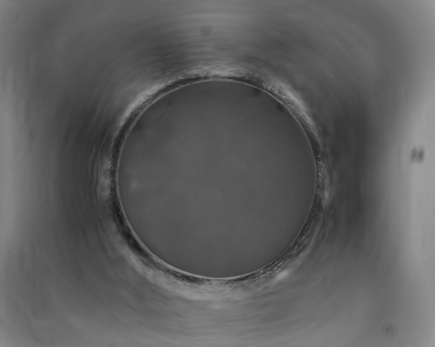 X0000091490012200708161447