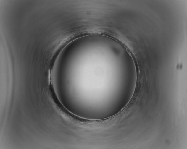 X0000091490013200708161447