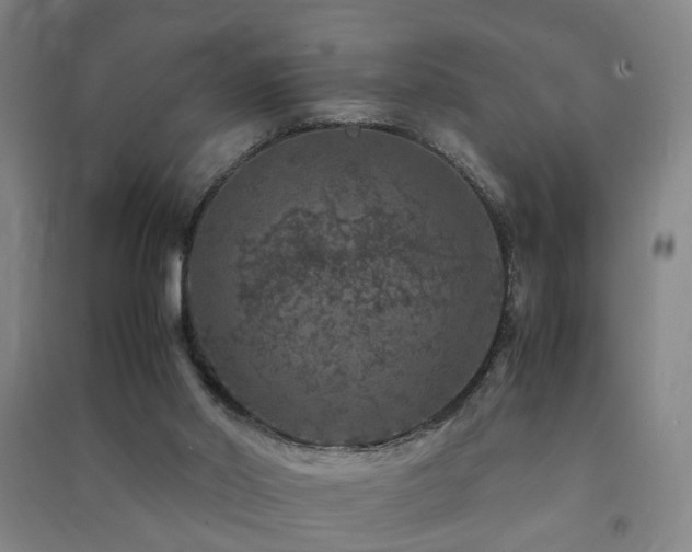X0000091490014200708161447