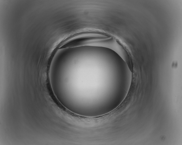 X0000091490015200708161447