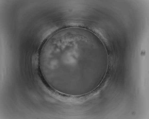 X0000091490016200708161447