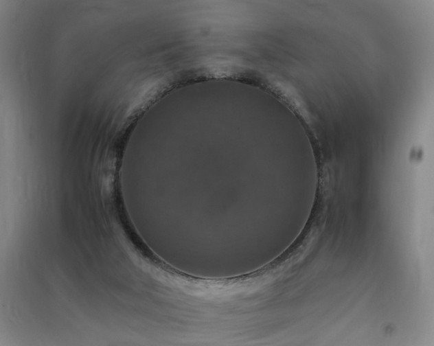 X0000091490018200708161447