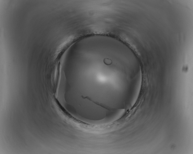 X0000091490019200708161447
