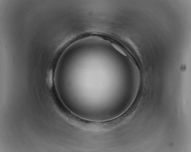 X0000091490020200708161447