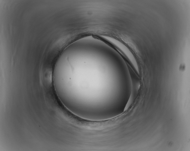 X0000091490021200708161447