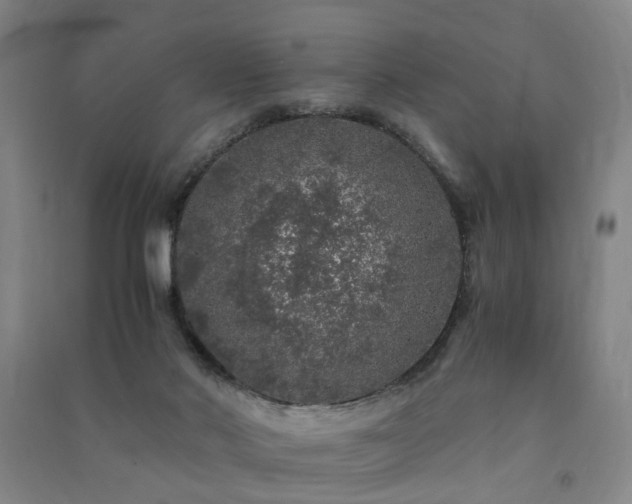 X0000091490022200708161447
