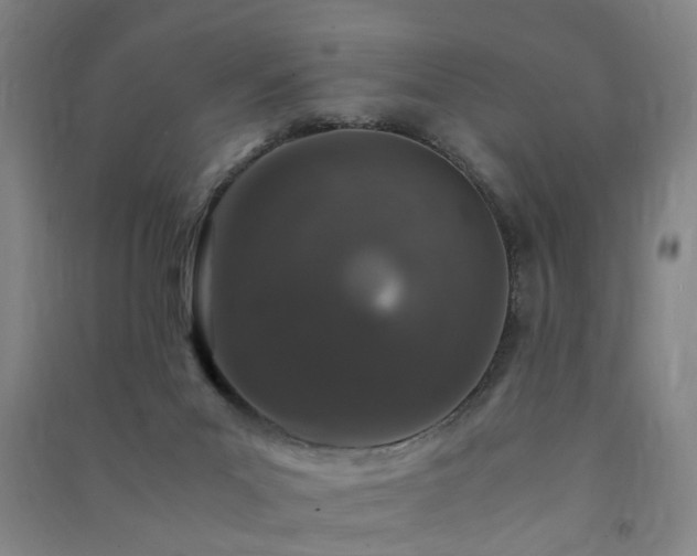 X0000091490023200708161447
