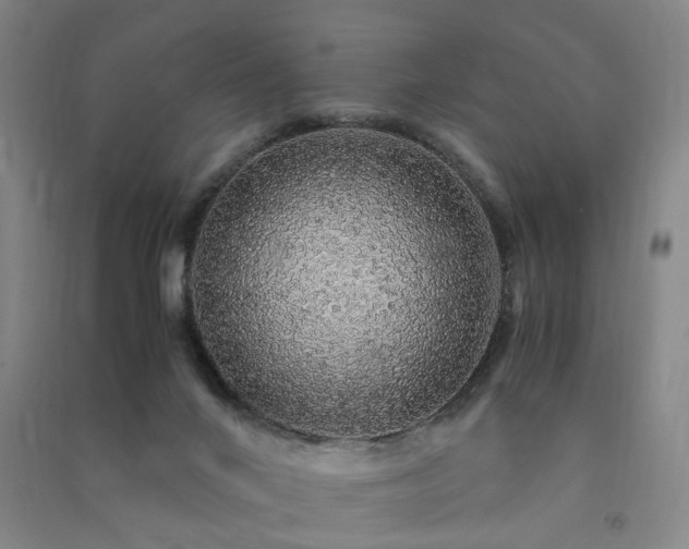 X0000091490024200708161447