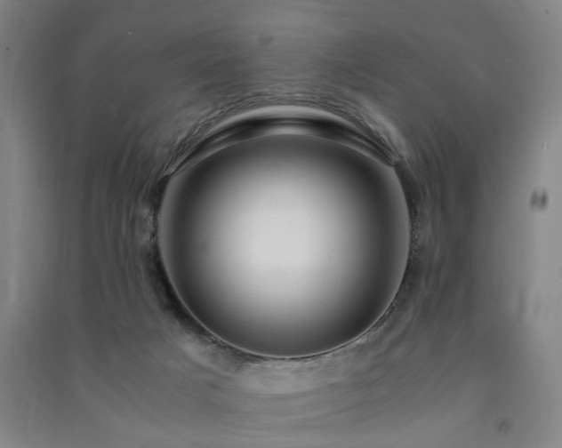 X0000091490025200708161447