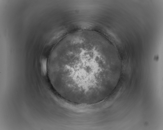 X0000091490028200708161447