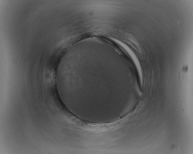 X0000091490029200708161447