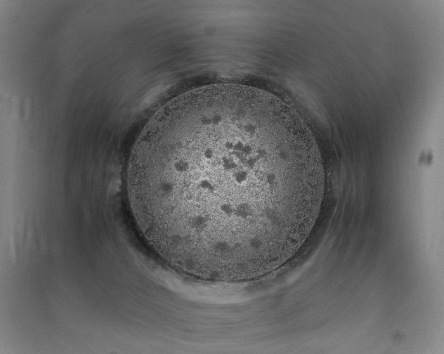 X0000091490032200708161447