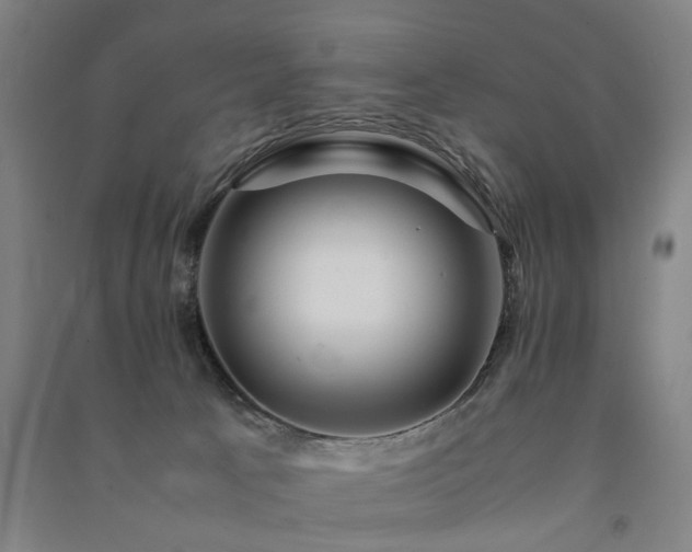 X0000091490033200708161447
