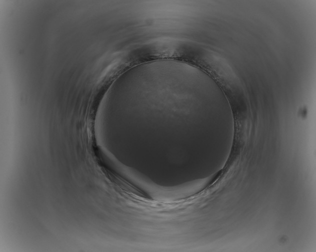 X0000091490035200708161447