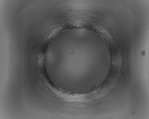 X0000091490036200708161447