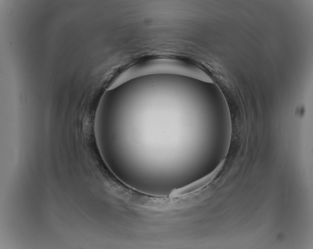 X0000091490037200708161447