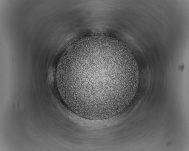 X0000091490038200708161447