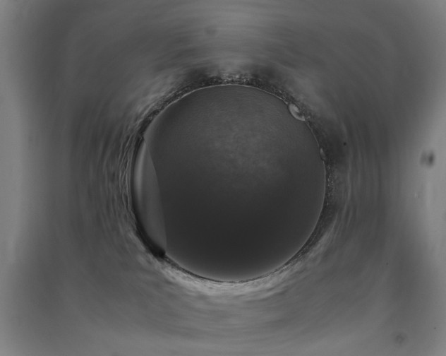 X0000091490039200708161447