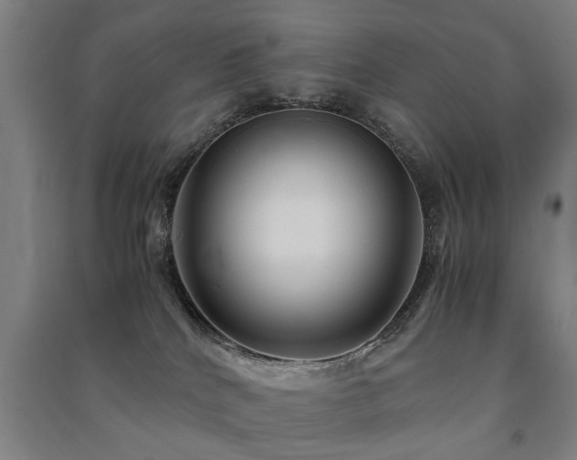 X0000091490040200708161447