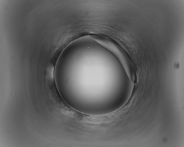 X0000091490041200708161447