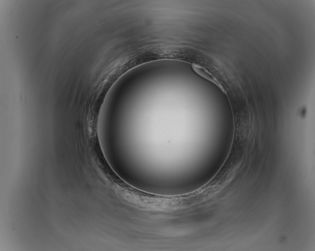X0000091490044200708161447