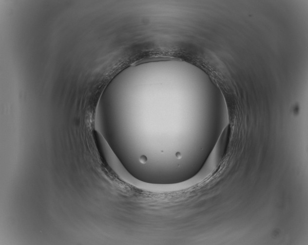 X0000091490045200708161447