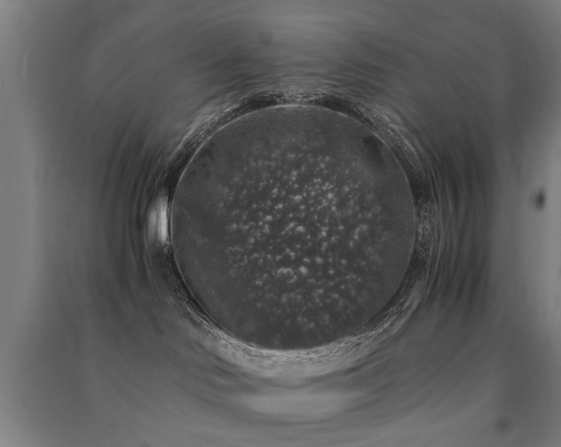 X0000091490046200708161447
