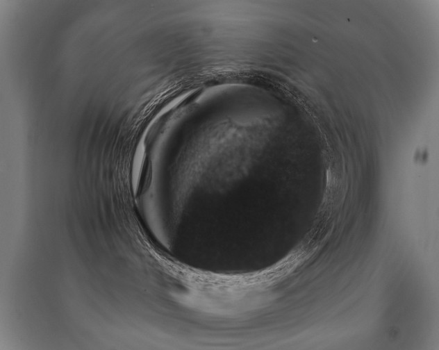 X0000091490048200708161447