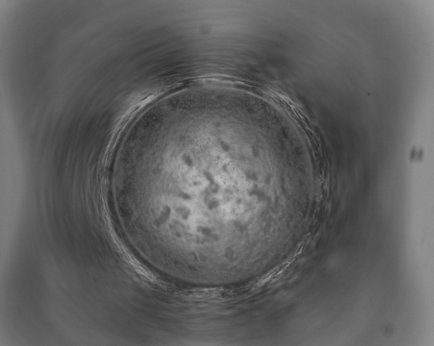X0000091490049200708161446