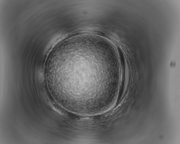 X0000091490050200708161446