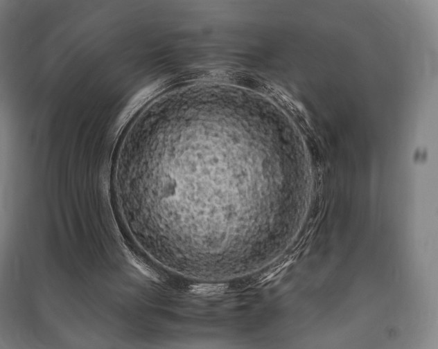 X0000091490051200708161446