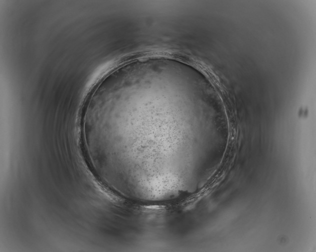 X0000091490053200708161446