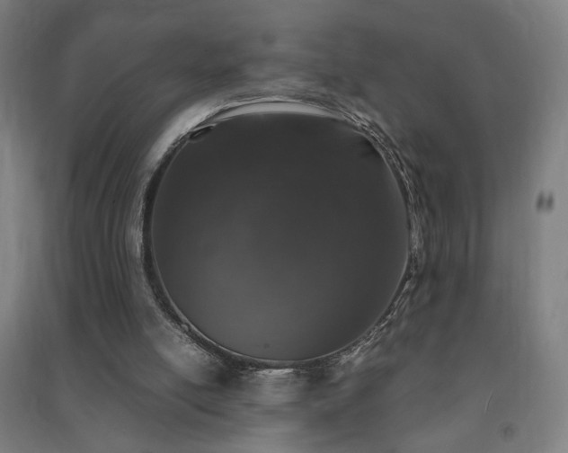 X0000091490054200708161447