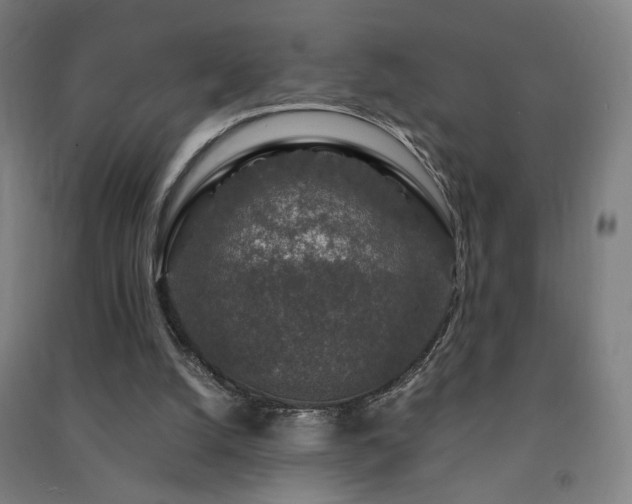 X0000091490056200708161447