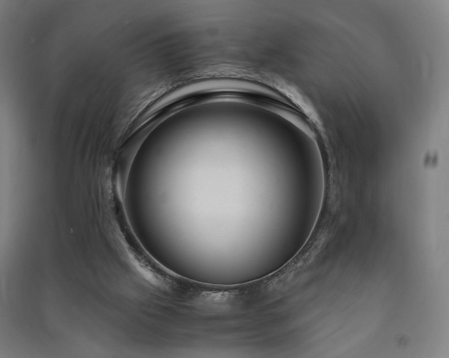 X0000091490057200708161447