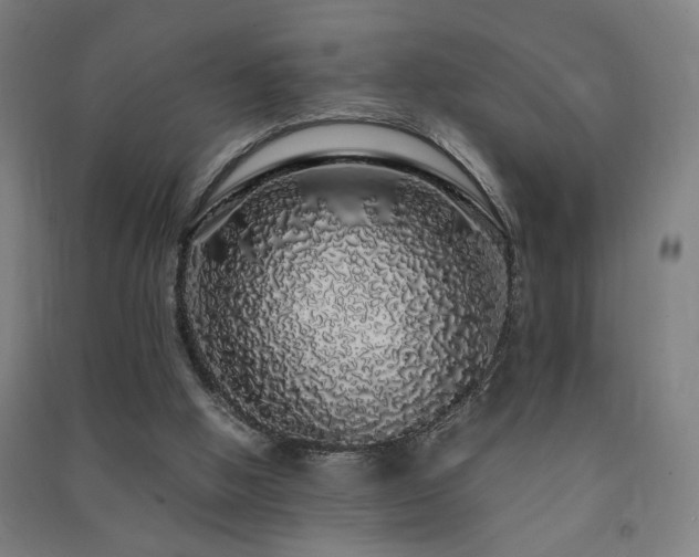 X0000091490058200708161447