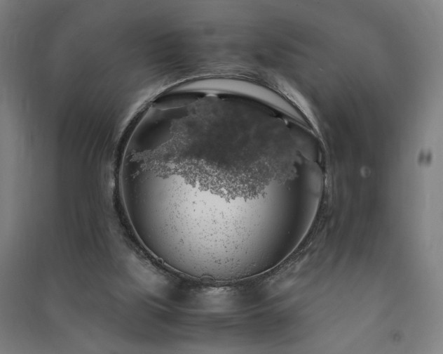 X0000091490059200708161447