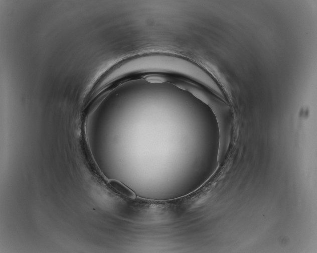 X0000091490060200708161447