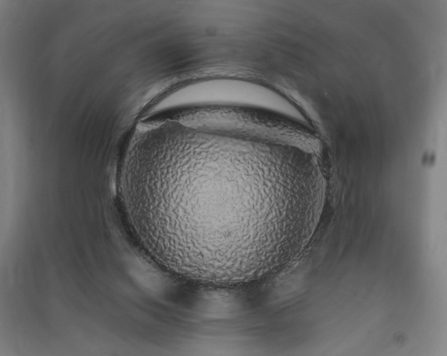 X0000091490062200708161447